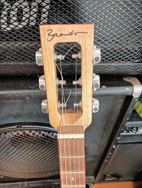6 String Swamp Box