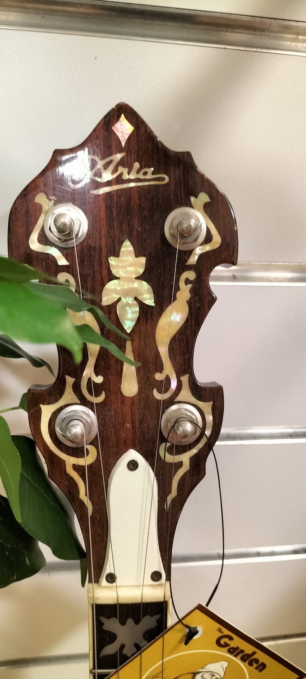 Aria 5 String Banjo